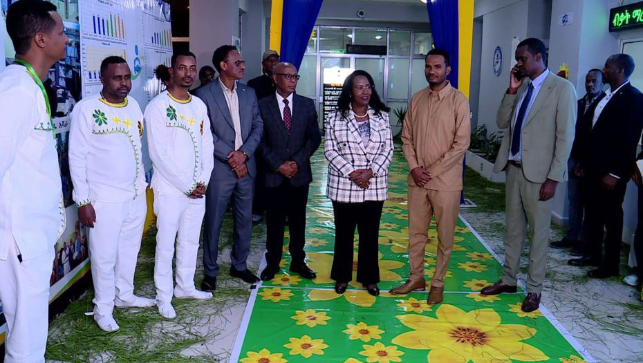 Empowering Addis Ababa: Enhancing Urban Life Through Vehicle Permit Regulation